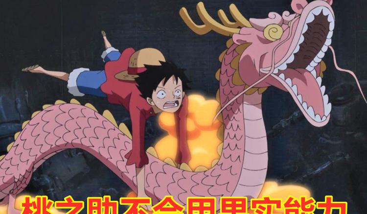 海贼王|海贼王：全员教师，凯多和三灾为草帽海贼团的成长操碎了心，感动