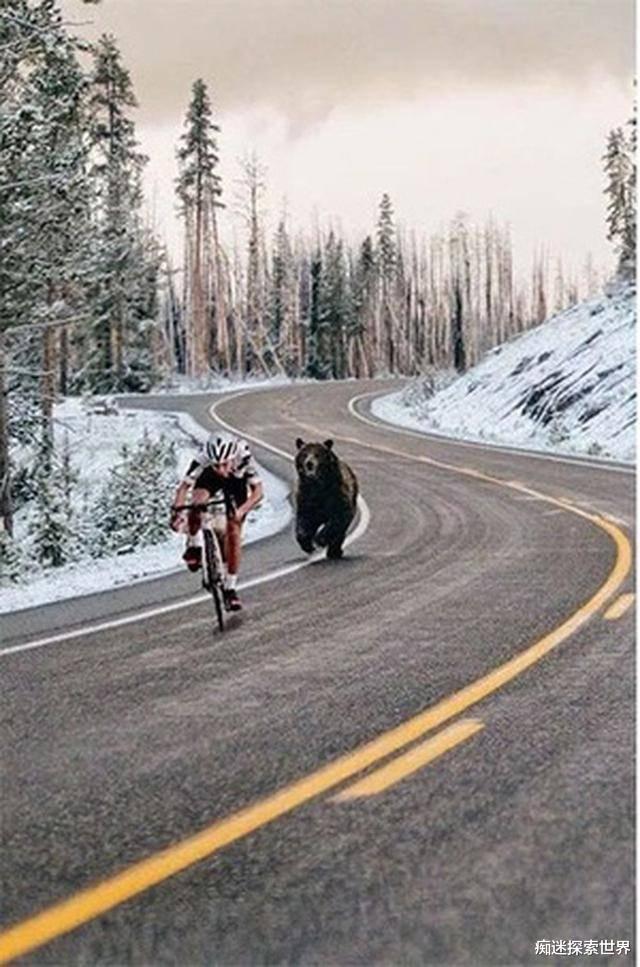 痴迷探索世界|7张著名老照片,骗过了无数人,第5张很少有人见过