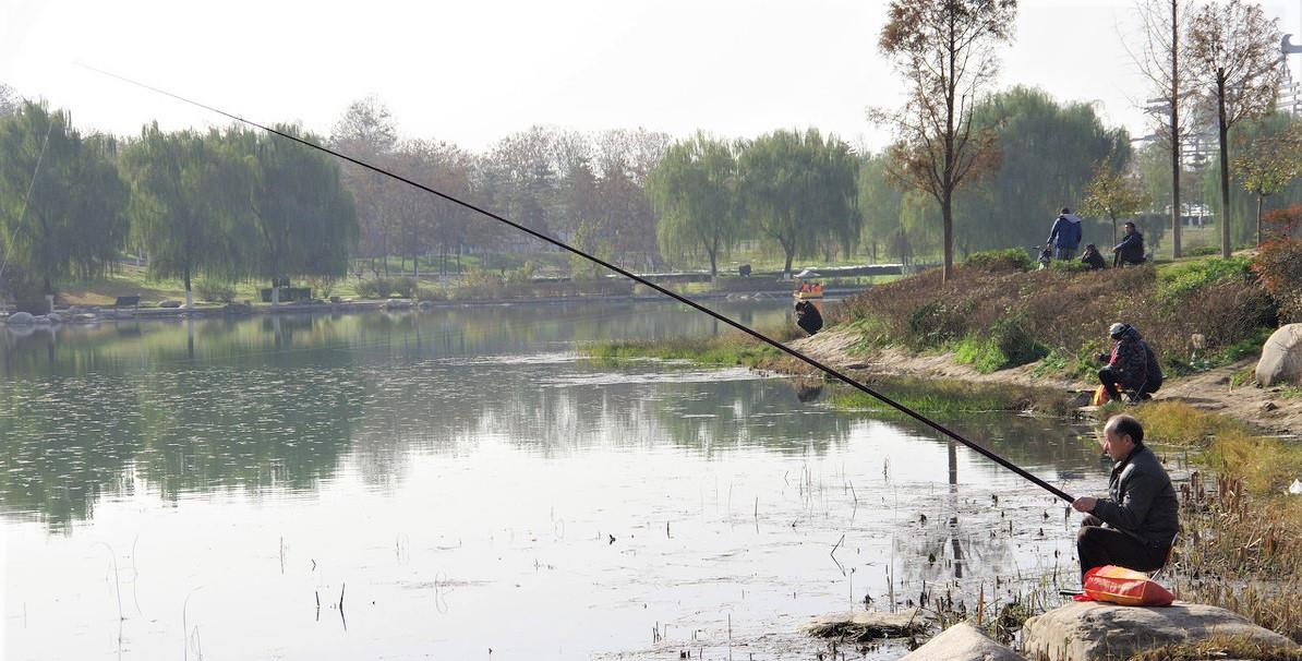 饵料|冬季野钓深水，这样调钓和用饵，渔获好、中鱼率高