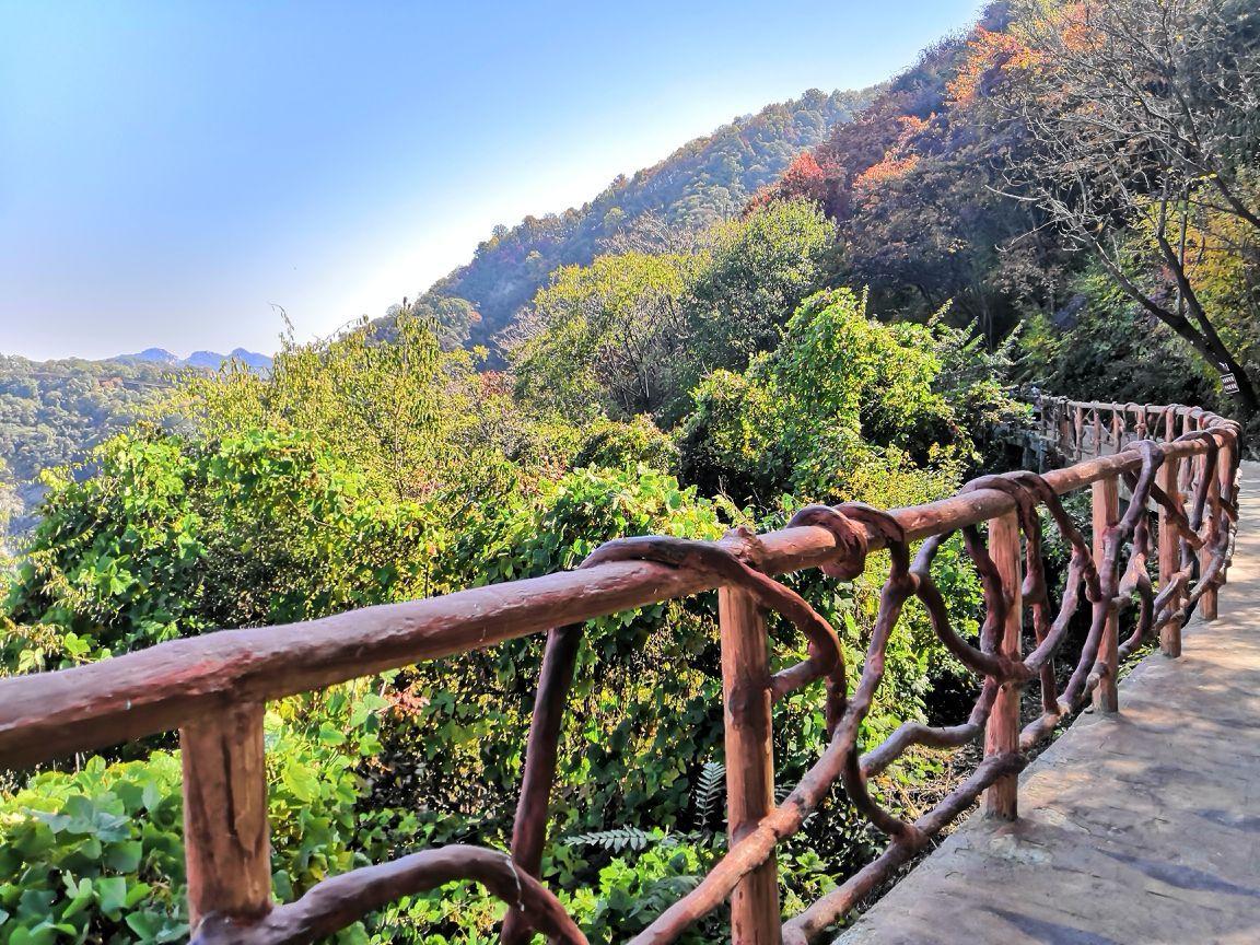 浙江省 陕西一处集山、水、林、寺于一体的景区，被誉为“陕西的九寨沟”