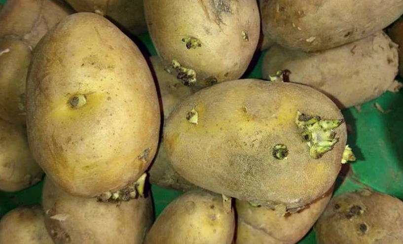 金兰中医学社|30岁夫妻，双双肝硬化入院，医生：都是2种食物害的，越吃肝越硬