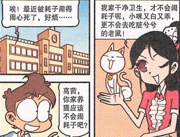 |是什么让高茜“深夜难耐”？是夜深人静“窗外娇喘”的小野猫