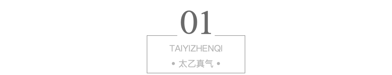 太乙真气 进村东北虎的萌爪一拍车窗破碎，老虎一掌有1000公斤力，武松打虎是假的还是有科学依据？
