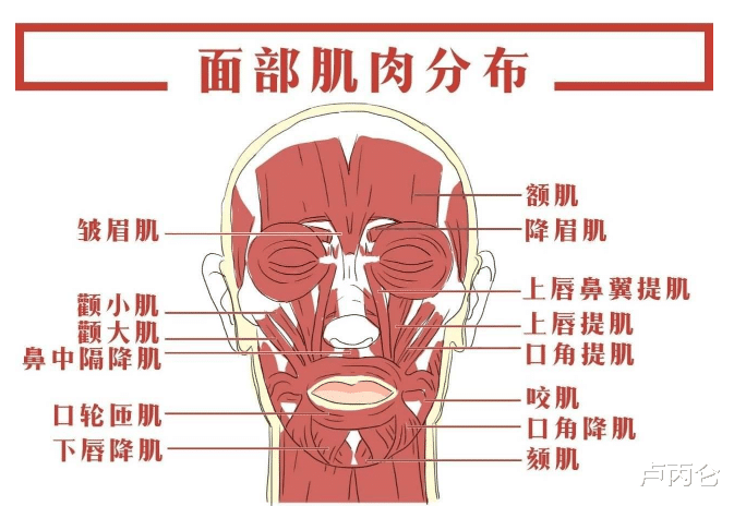 卢丙仑|提眉之后面部变凶是怎么回事？