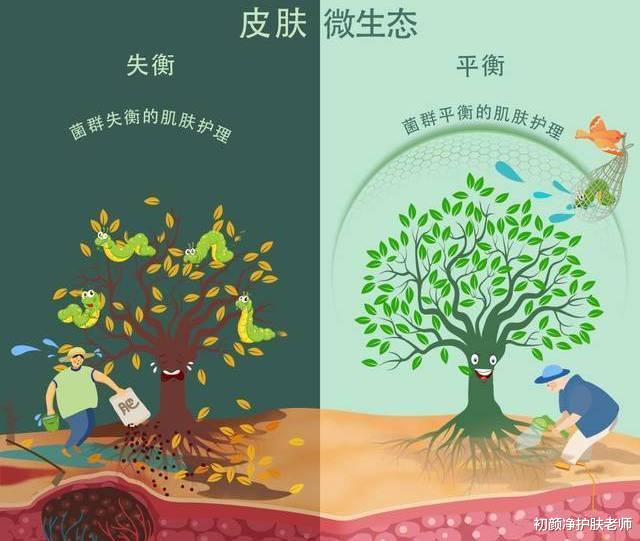 非主流 干货｜关于皮肤屏障和护肤真相！