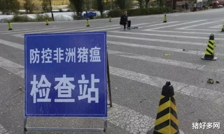 生猪价格|“水泡猪”会冲击猪价？想多了！消费端的改变更应引起重视