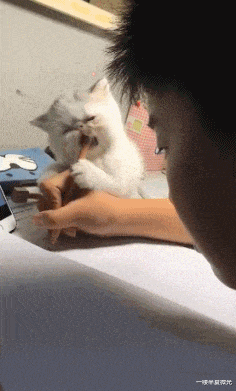 比特币 朋友为了娶空姐，哭着卖掉50枚比特币，现在睡觉都会笑醒！哈哈哈