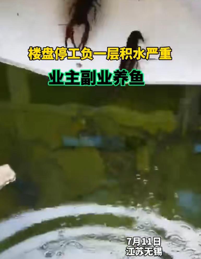 烂尾楼|开发商停工跑路，业主在烂尾楼办养鱼场抗议：把房款挣回来！