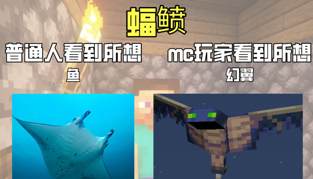 我的世界：論普通人和玩傢眼中的MC，據說老玩傢MC看得懂-圖5