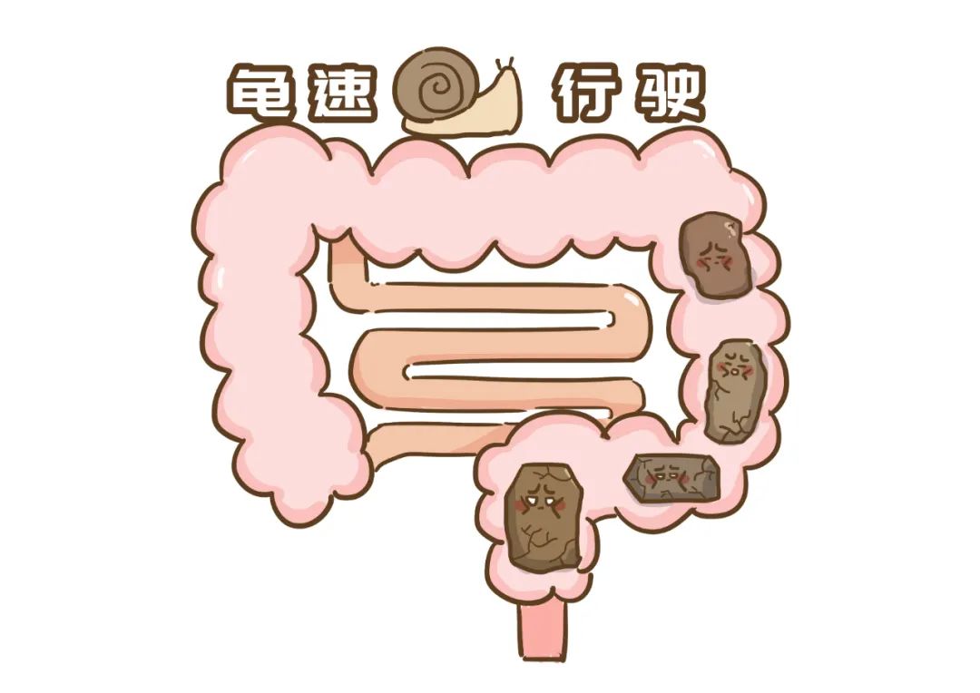 便秘|清代名医吴鞠通：“增水行舟”治便秘的经典良方，一共只用5味药