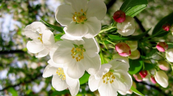 判达说事 招财进宝的3属相女，娶到她们有福气，老公也会越来越富有