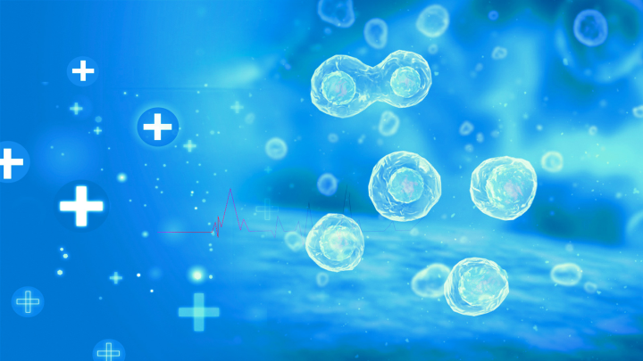 科学家 中科西部干细胞研究院：为什么干细胞对我们的健康很重要？