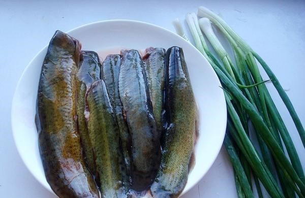 中草药|建议中老年：如果不缺钱多吃这种食物，腰腿有劲，提高身体免疫力