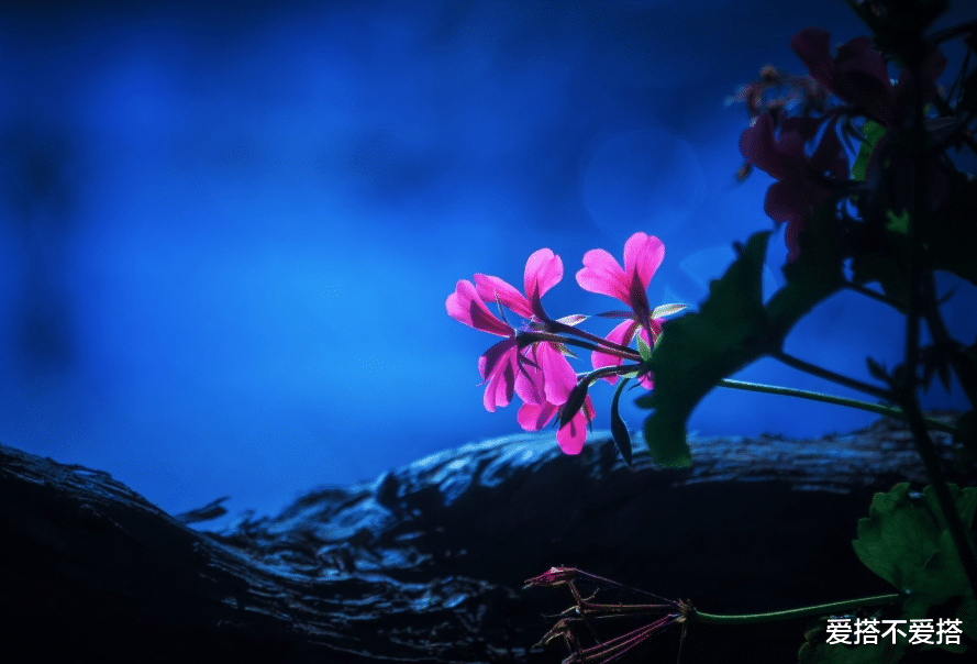 爱搭不爱搭|很在意感情,内心难以释怀,很难忘记一个人的星座