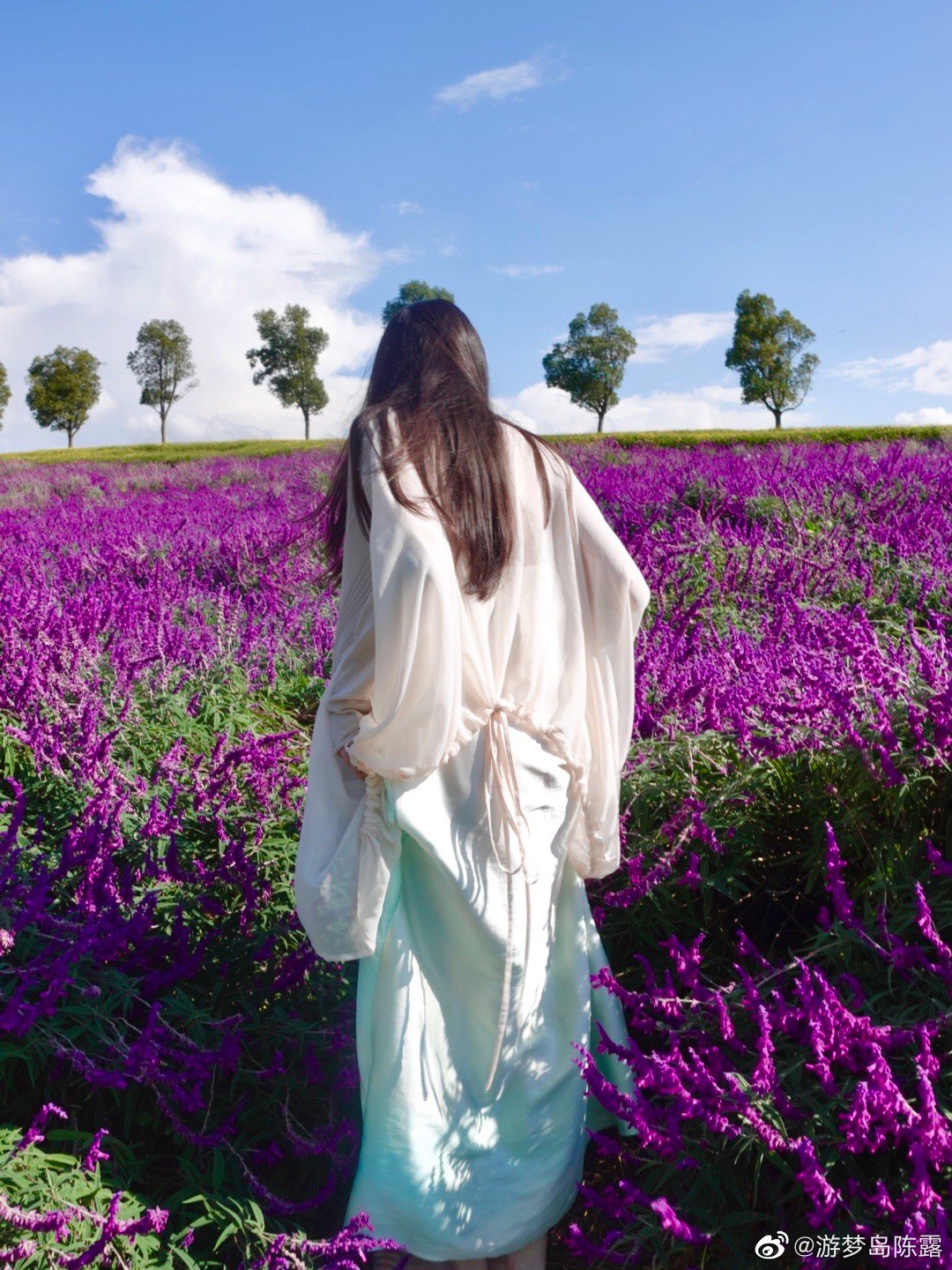 |陈露平台认证“颜值博主”？晒“花海照”，帧帧大片既视感