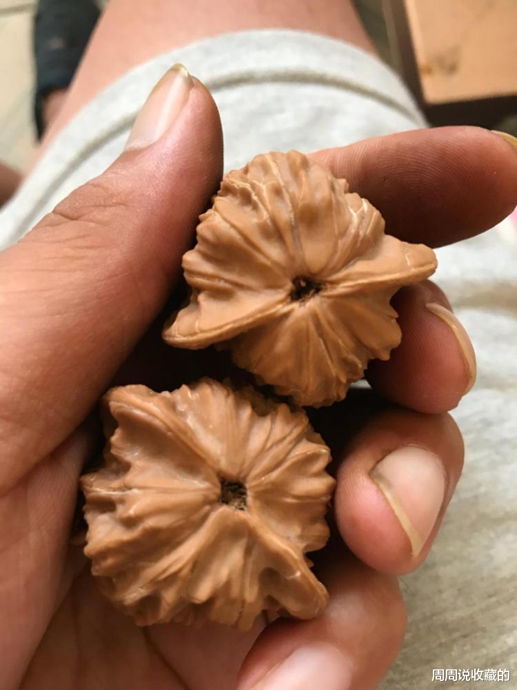 文玩核桃|金刚菩提和文玩核桃，究竟是应该盘？还是应该刷？