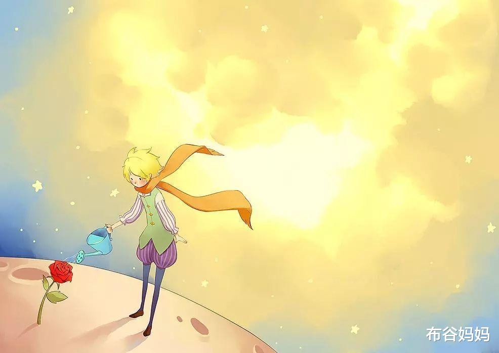 布谷妈妈|如果你有儿子,建议看看《小王子》,揭露养育男孩的3个真相