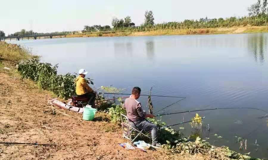 |千辛万苦找钓位，殊不知大鲤鱼都藏在这，头一次试钓就过了把瘾