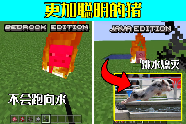 你所不知道的《我的世界》，猪着火会跳水，基岩和Java谁更科学