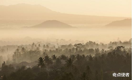 巨蟒 地球上最长的蛇是什么？印尼9米巨蟒被发现，是“变异”物种吗？