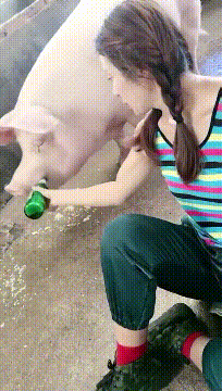 |搞笑GIF:老师是职业选手吧