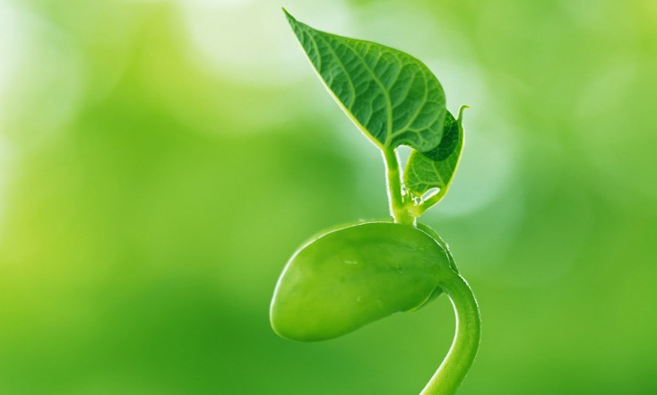 那年的星座|8月中赚取万贯家财，3大属相“好孕”入宅，日子有钱不愁