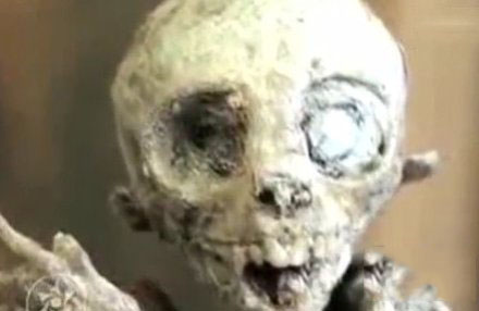 科学家 美国收集了三十多具外星人的遗骸