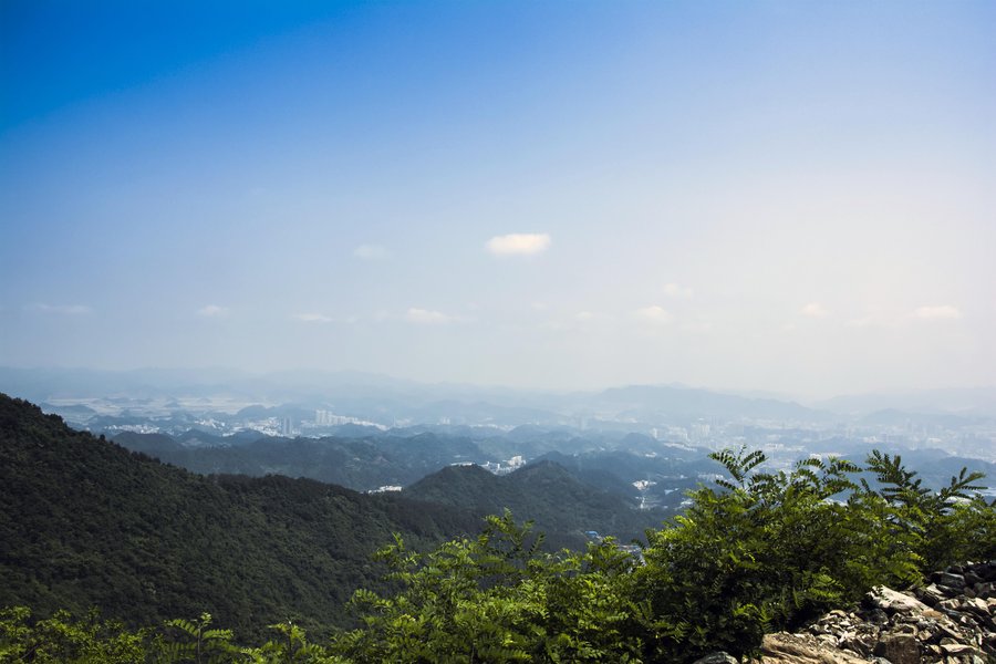 型男塑造逆游的鱼|换个角度看世界