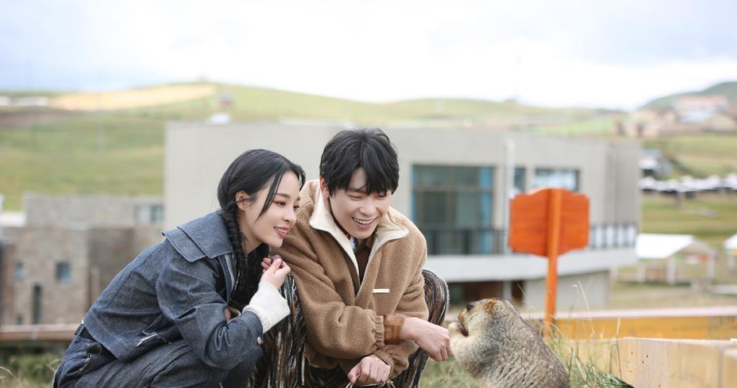 家装日志 李莎旻子自称想结婚，不在乎隔壁老樊没车房，谁来救救这个恋爱脑