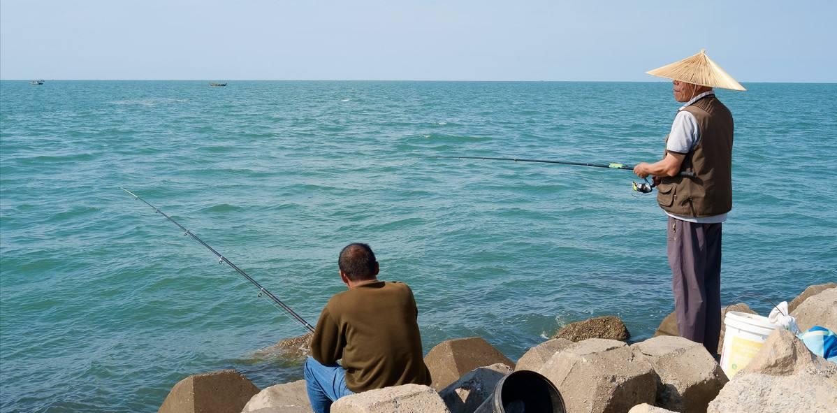 浙江省|浙江男子野钓遇“四脚怪鱼”,看清后吓出一身汗,都是放生惹的祸