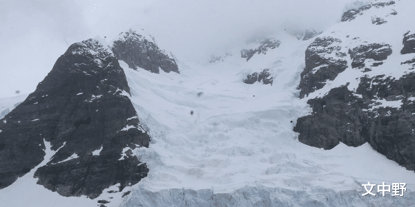 水冰 史前巨兽最大的鲨鱼