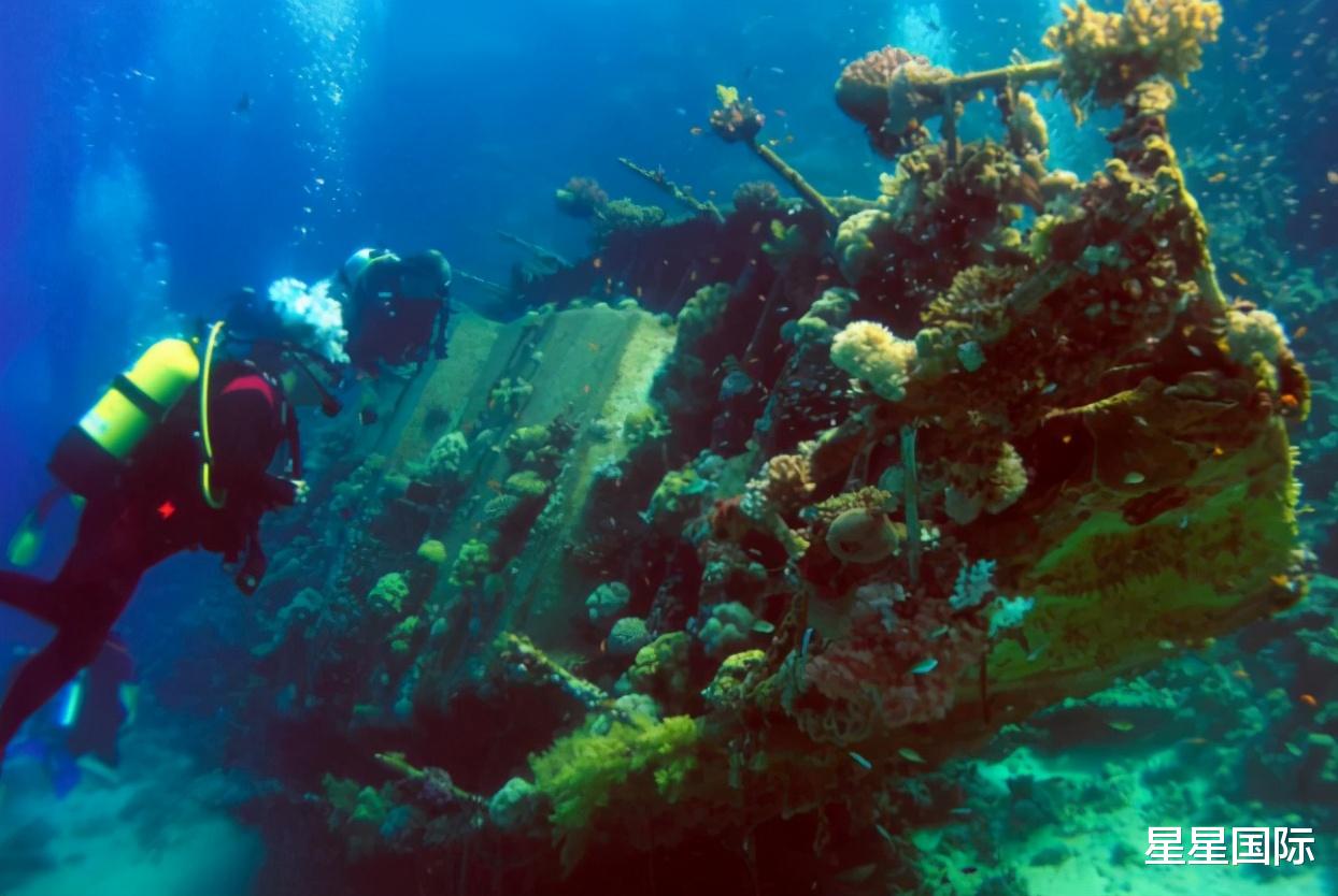 陆小曼|又火了，中国发现载满圆明园文物的英国沉船，英国：请还给我们