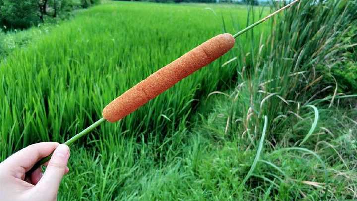 银河系 中国天眼发现银河系新结构，长1.6万光年，或是银河系一条新旋臂