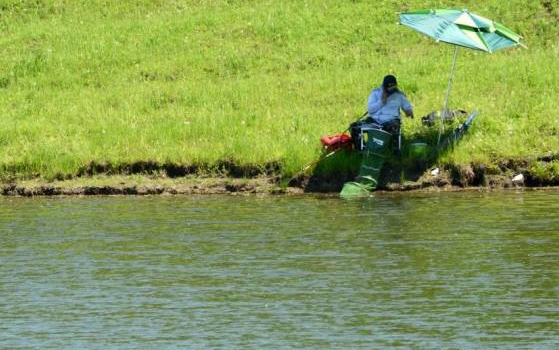 章鱼|夏季如何垂钓? 做到这几点，收获满满——盛世三渔