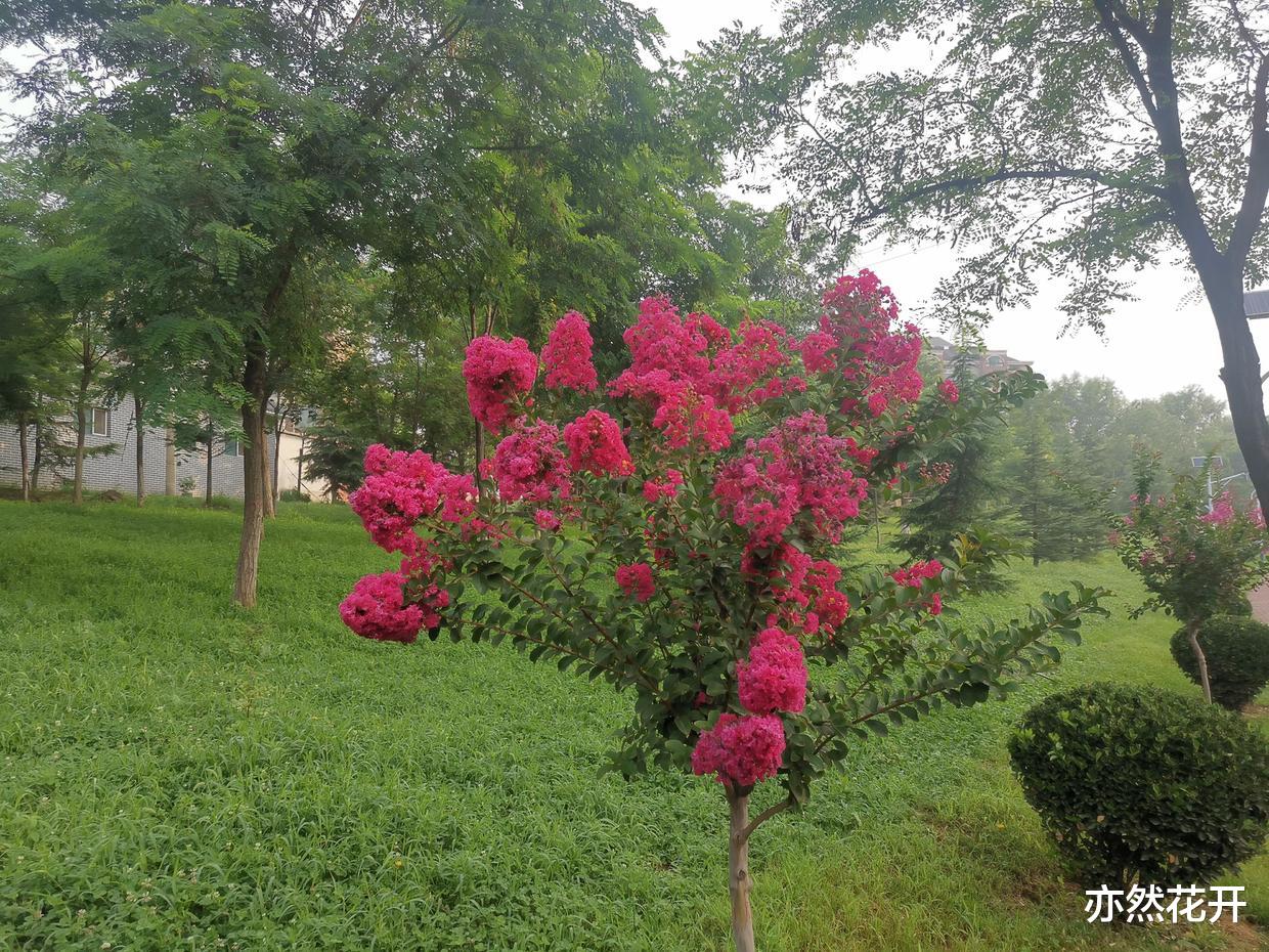 金字塔结构 利用金字塔原理，实现结构化写作