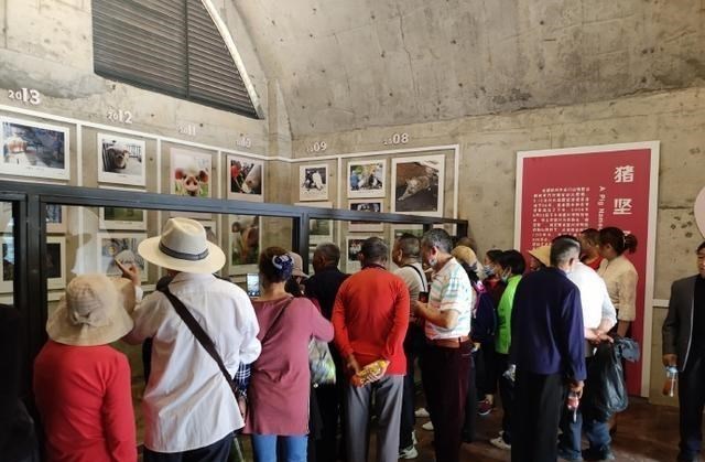 90后宝妈经验 中国第一大的民间博物馆,一头大肥猪养了10多年,到底怎么回事?