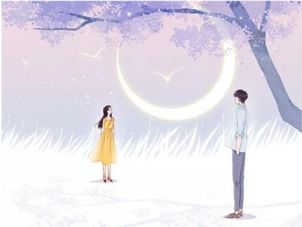 小三|4本星际甜爽文，设定新颖，脑洞大开，专注撒糖一辈子