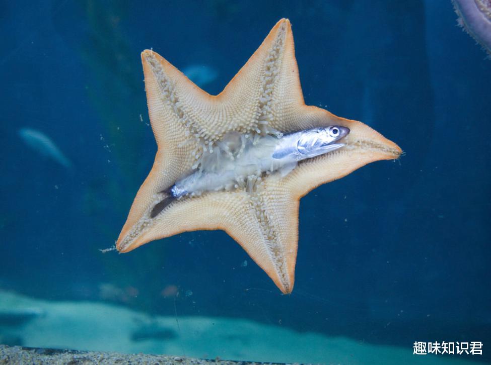 汽车 涨知识：8条稀奇古怪的冷门小知识，你知道多少呢？