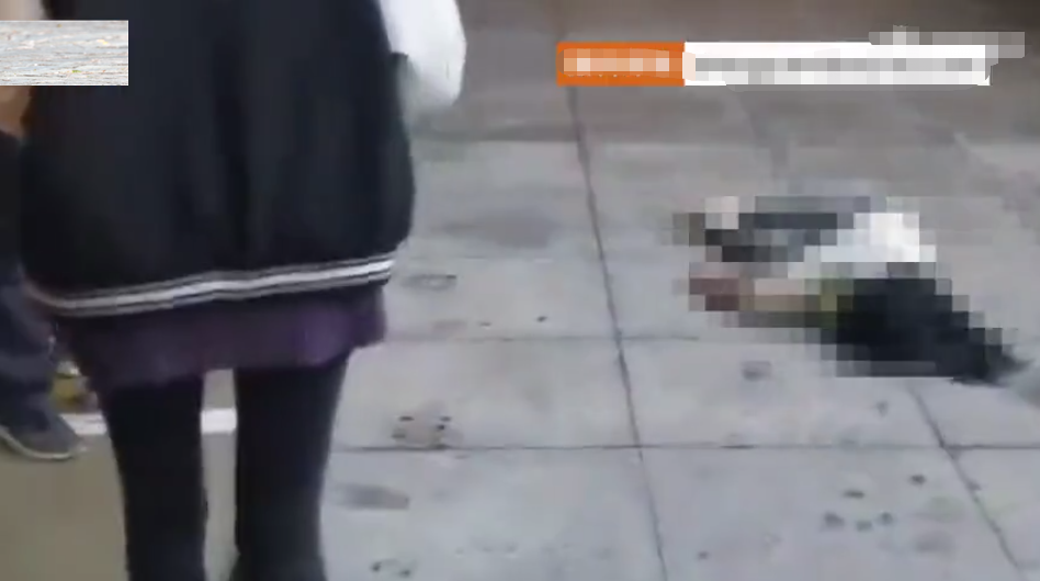 掌上社评 江苏淮安一6岁女童从10楼坠落，当场身亡，事发时家长不在家