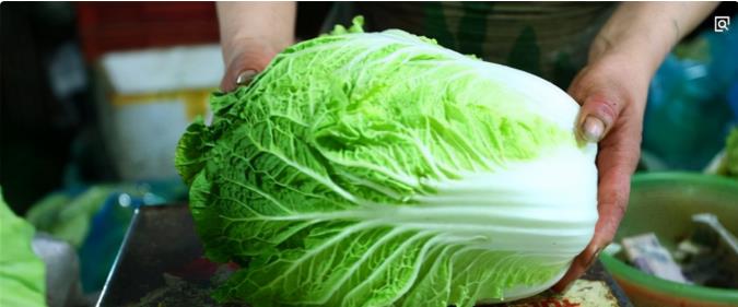 喷洒过甲醛的白菜，一般有这3个特点，提醒家人：别买错