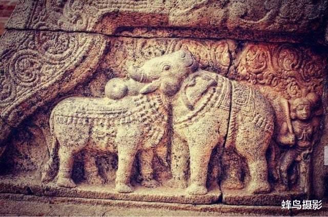 陨石 33张罕见的照片，国外硬币里的剑可以拔出，戒指用恐龙骨陨石制造