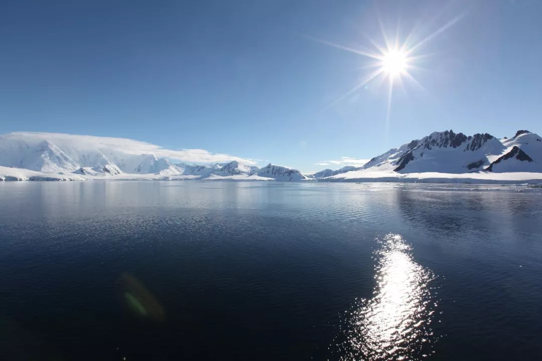 南极 南极磷虾每年被吃掉2亿吨，为何还能泛滥成灾？专家：这是地球的BUG