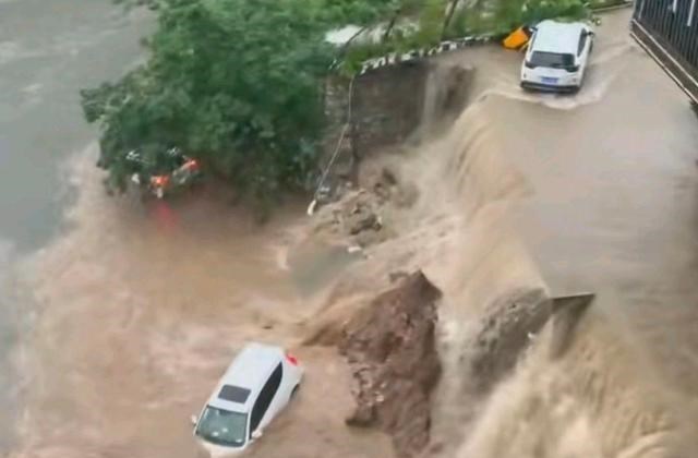 童书小窝|信阳洪峰过后，损失初显，有人牛被冲走