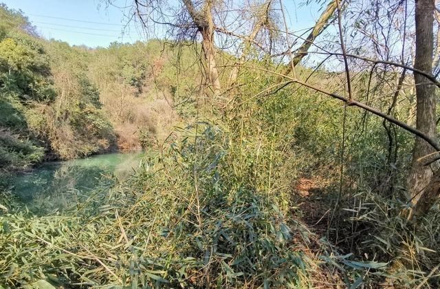 |野钓时有哪些物品是必备的?这5件东西,少一件都钓不好鱼