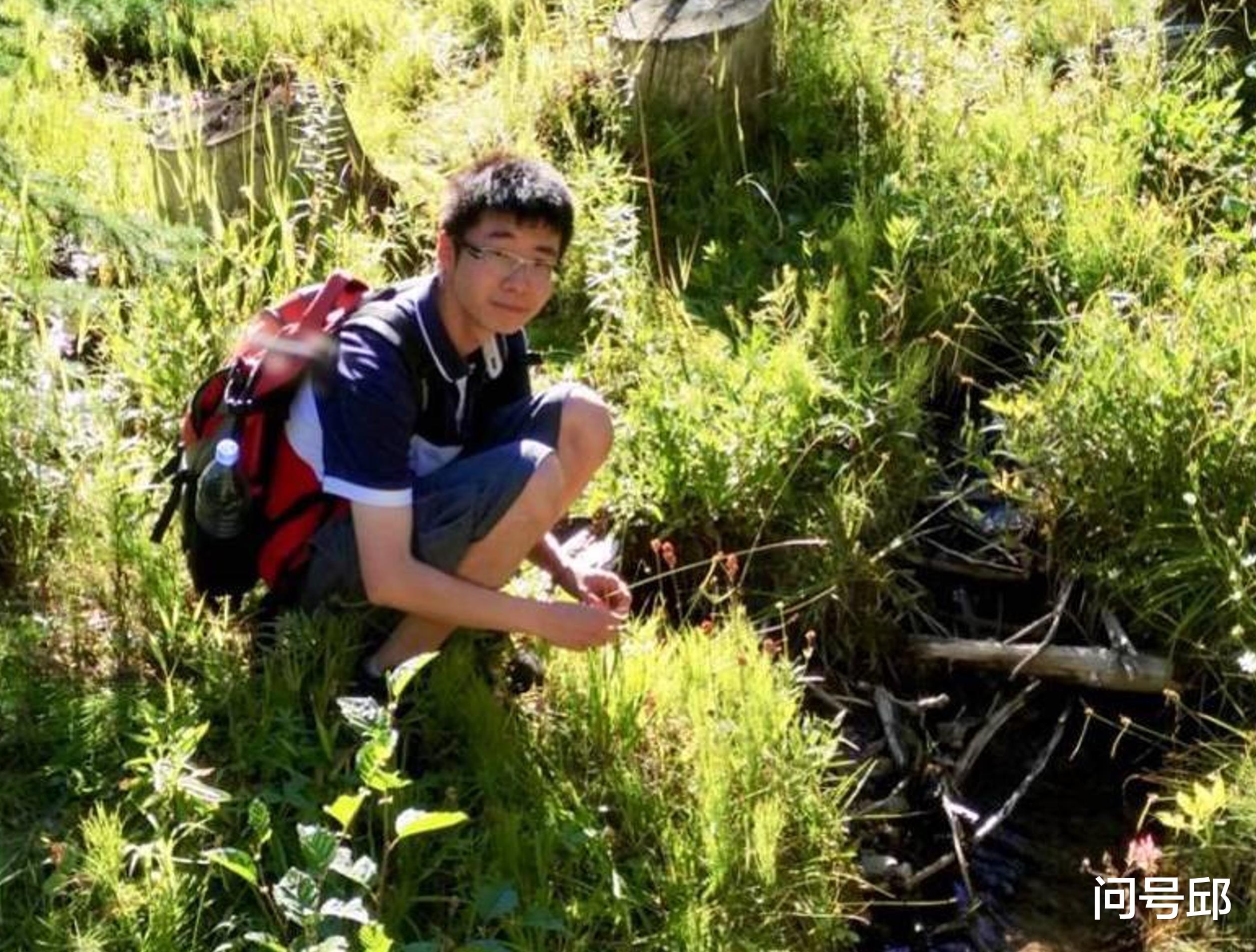 昆虫 专家发现北美有一种野花不光合作用,而是靠茎吸食昆虫的食虫植物