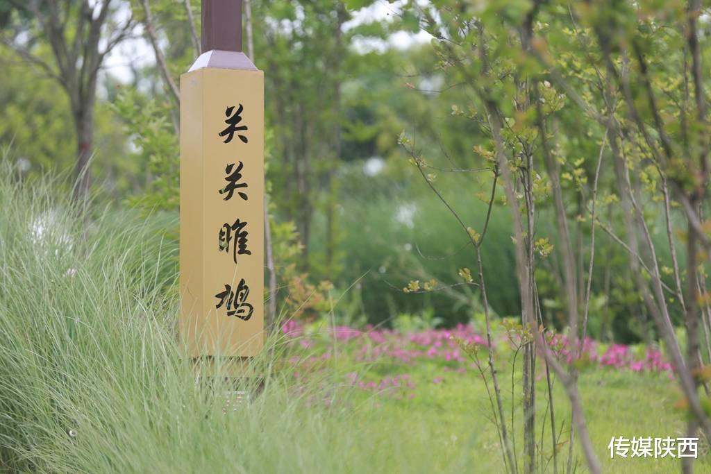 传媒陕西 春暖花开，太乙风雅绿道精彩呈现，真切感受到生态流入城市的惬意