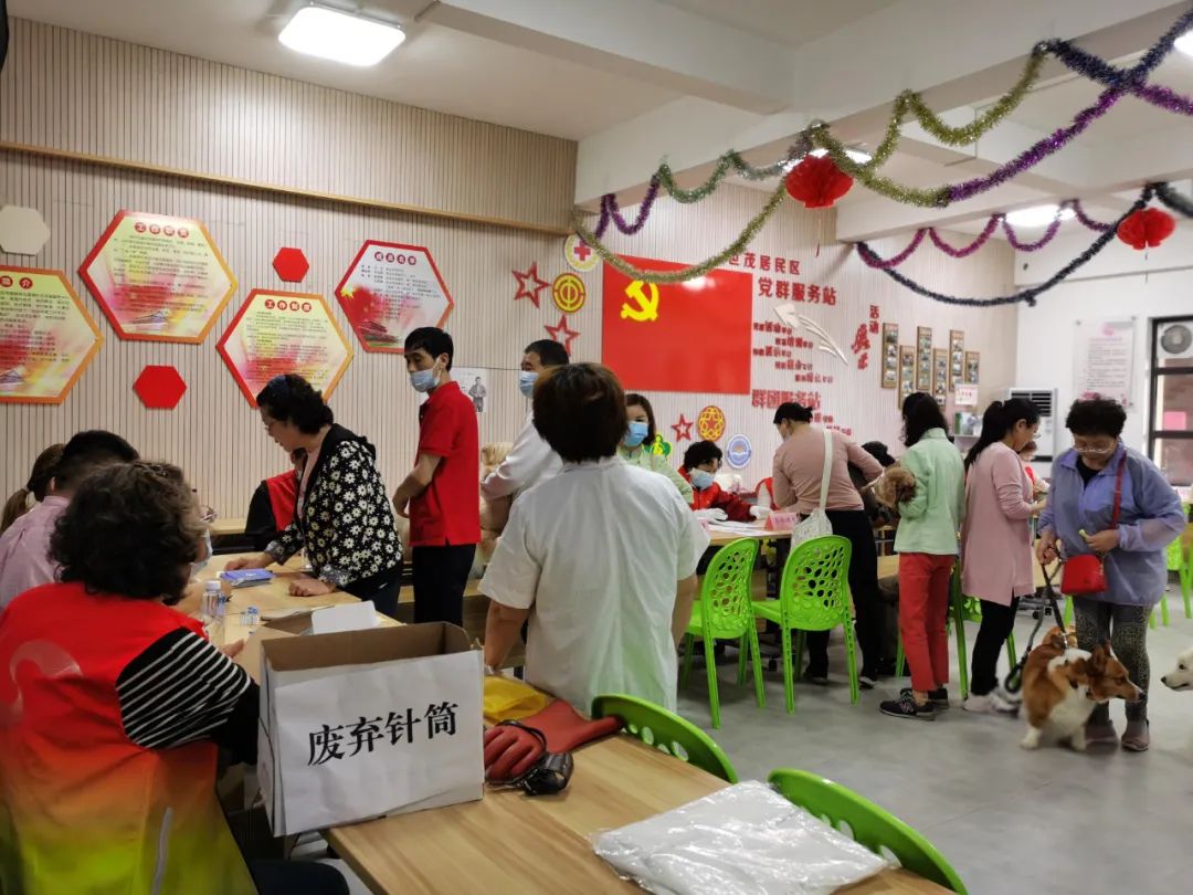 上海奉贤 宠物俱乐部引领文明养宠新风尚 奉贤这个小区提供犬防免疫办证咨询一条龙服务