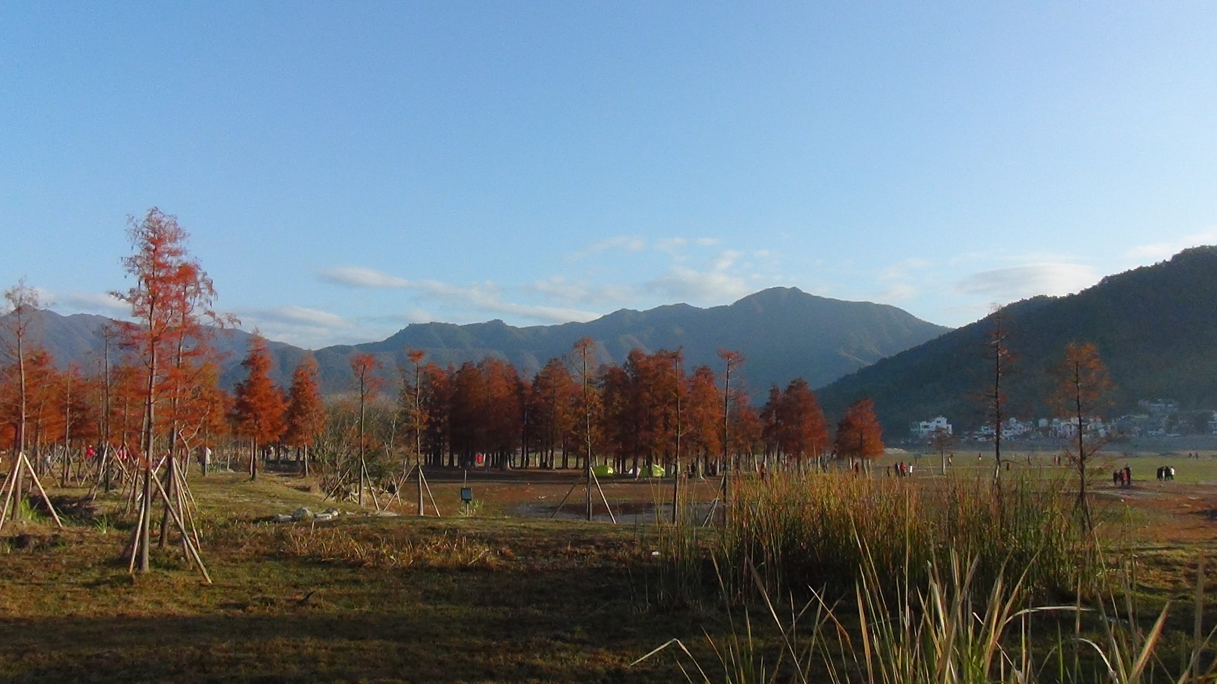 西塘|游览黄山市黎阳老街、塔川纪实