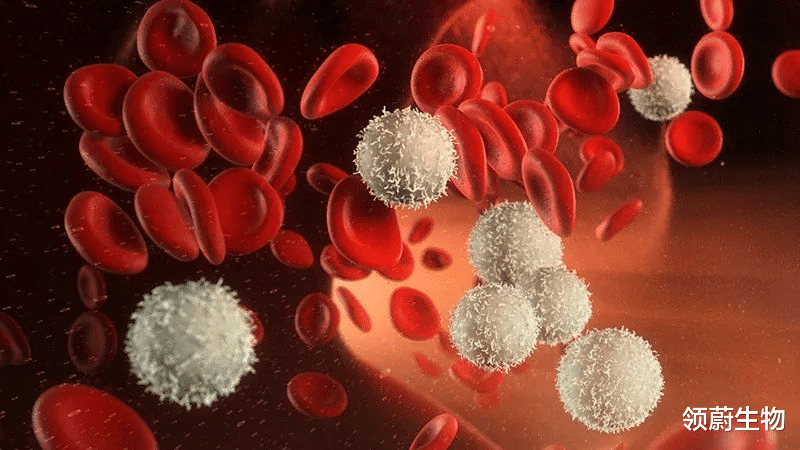 NASA 脐带、胎盘来源的干细胞为什么不用配型？