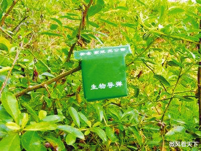 微风看天下 “中国制造”获突破性进展，中国“国产导弹”可以出口到欧美了